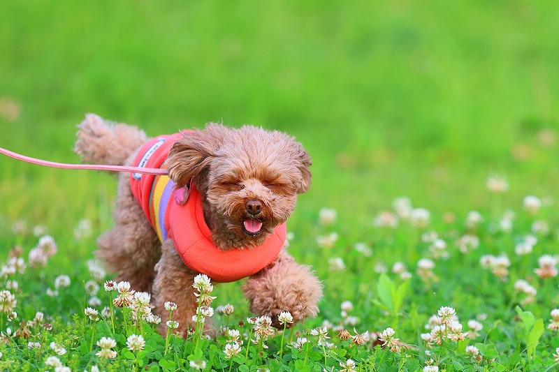AdobeStock_1485873795